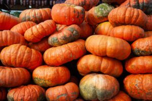 Pile of orange pumpkins at a local market.